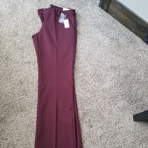 Express Dress Pants 6 Long NWT